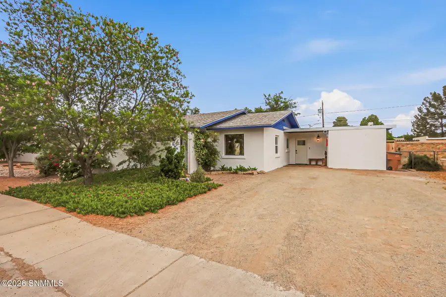 445 Palmer Road, Las Cruces, NM 88005 - #2