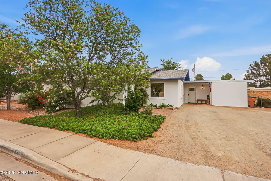 445 Palmer Road, Las Cruces, NM 88005 - #3