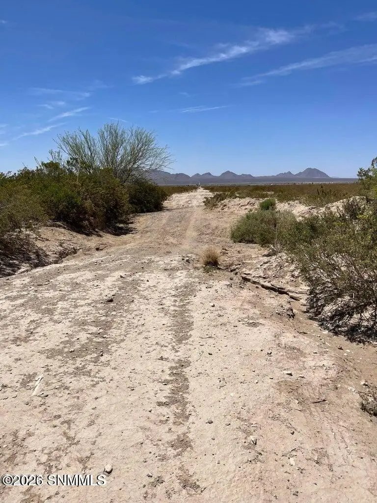 9245 Rabbit Run Road, Las Cruces, NM 88012 - #2