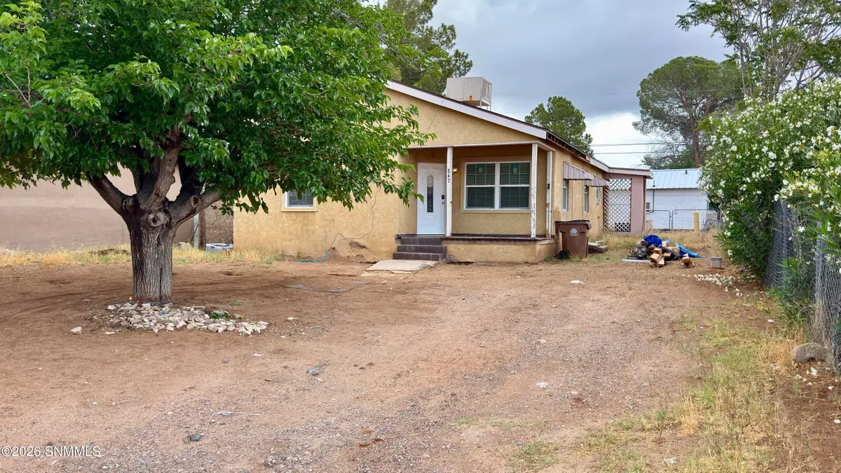 847 Luna Street, Las Cruces, NM 88001 - #1