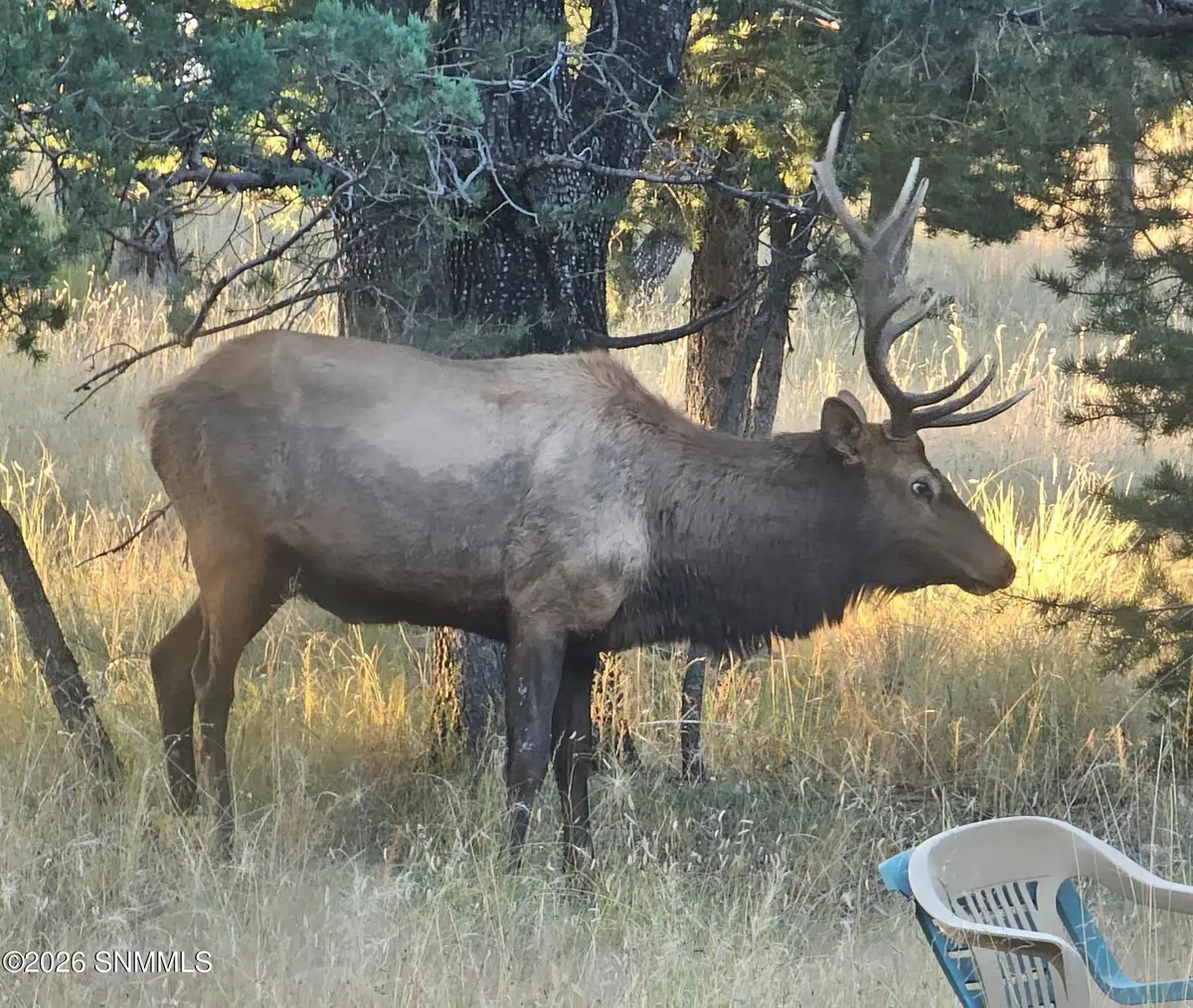 TBD Mesita Drive, Alto, NM 88312 - #1