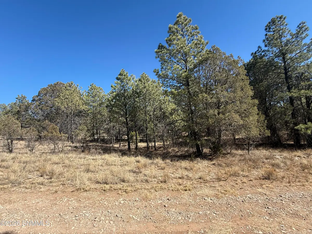 TBD Eldrado Drive, Timberon, NM 88350 - #1