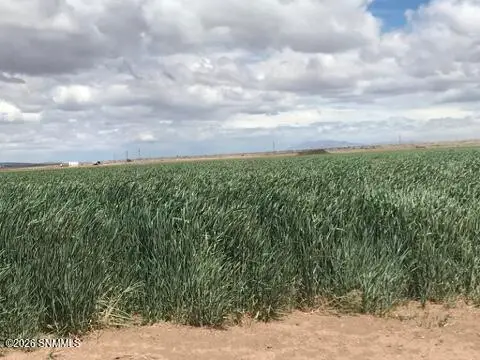 29570 San Diego Street, Columbus, NM 88029 - #3