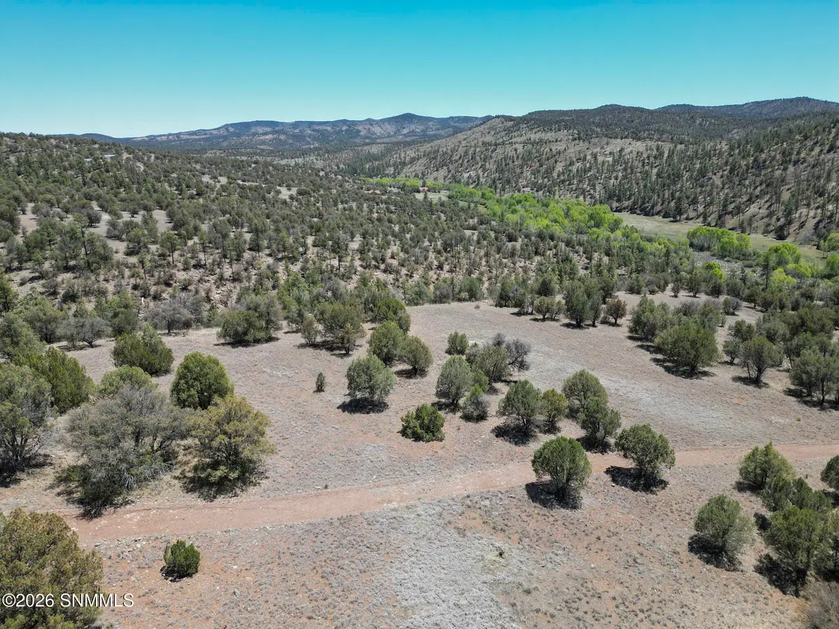 TBD Lot4a Highway 35, Mimbres, NM 88049 - #1