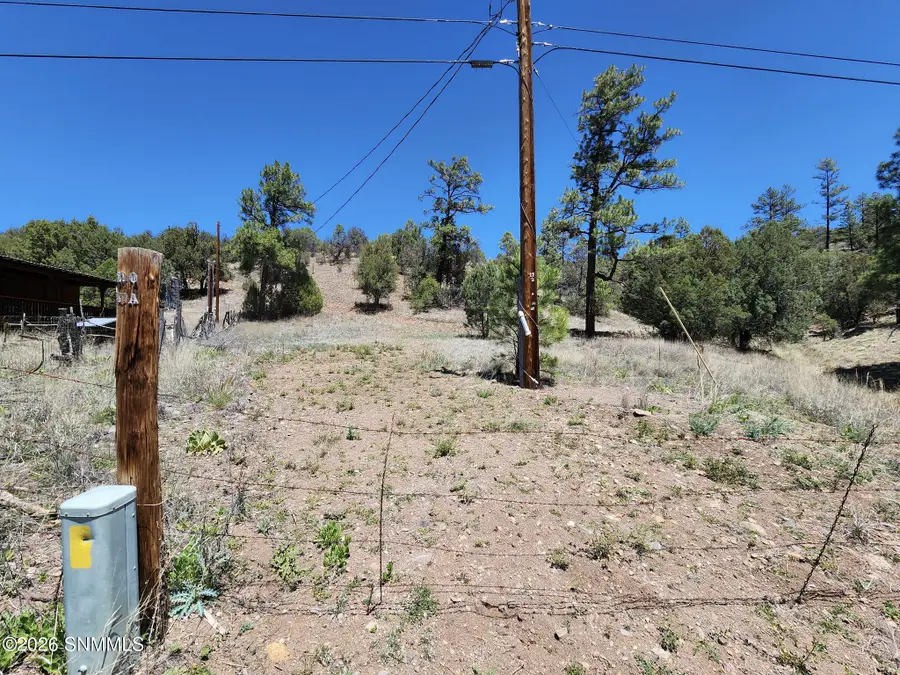 TBD Lot4a Highway 35, Mimbres, NM 88049 - #2