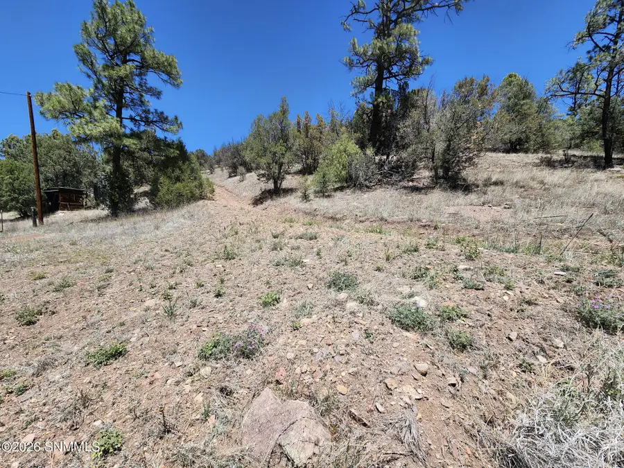TBD Lot4a Highway 35, Mimbres, NM 88049 - #3
