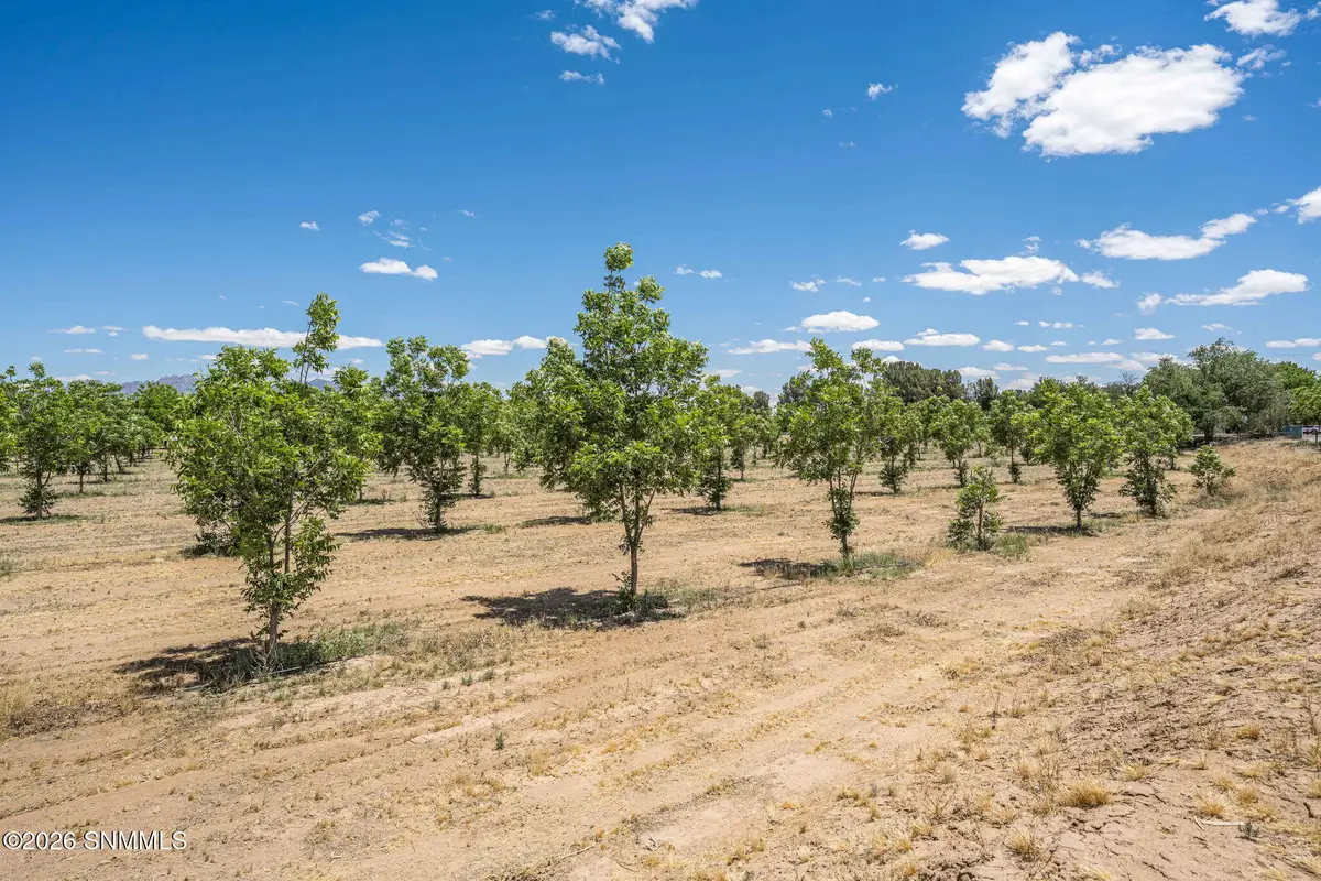 LOT 3 TBD Old River Road, Las Cruces, NM 88005 - #1
