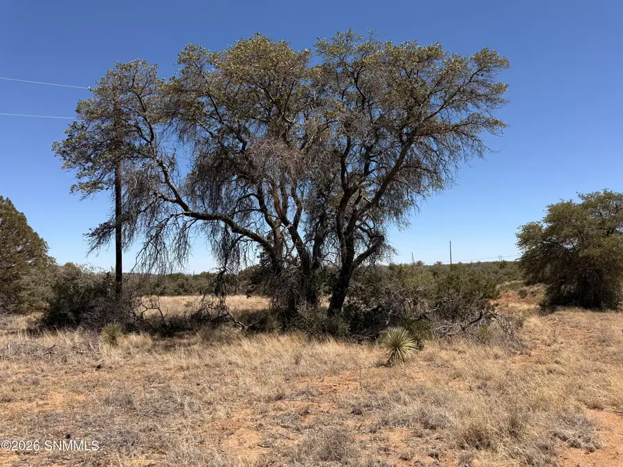 Block:7 Chisholm Estates, Silver City, NM 88061 - #2