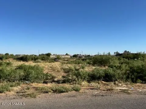 905 Oasis Drive, Chaparral, NM 88081 - #1