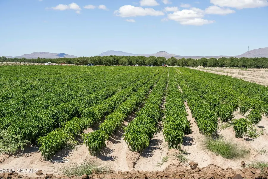 215 Red Hills Road, Hatch, NM 87937 - #2
