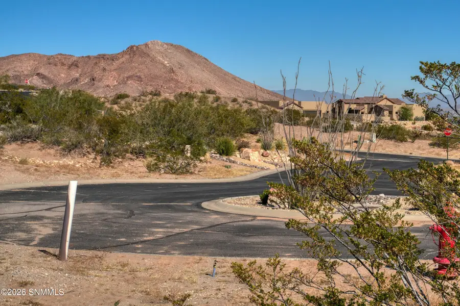 1286 Calle Ventanas, Las Cruces, NM 88007 - #3
