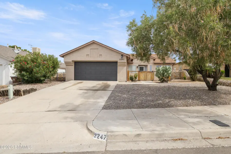 2247 Bright Star Avenue, Las Cruces, NM 88011 - #2