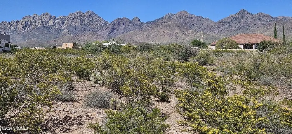 4999 Modoc Road, Las Cruces, NM 88011 - #1