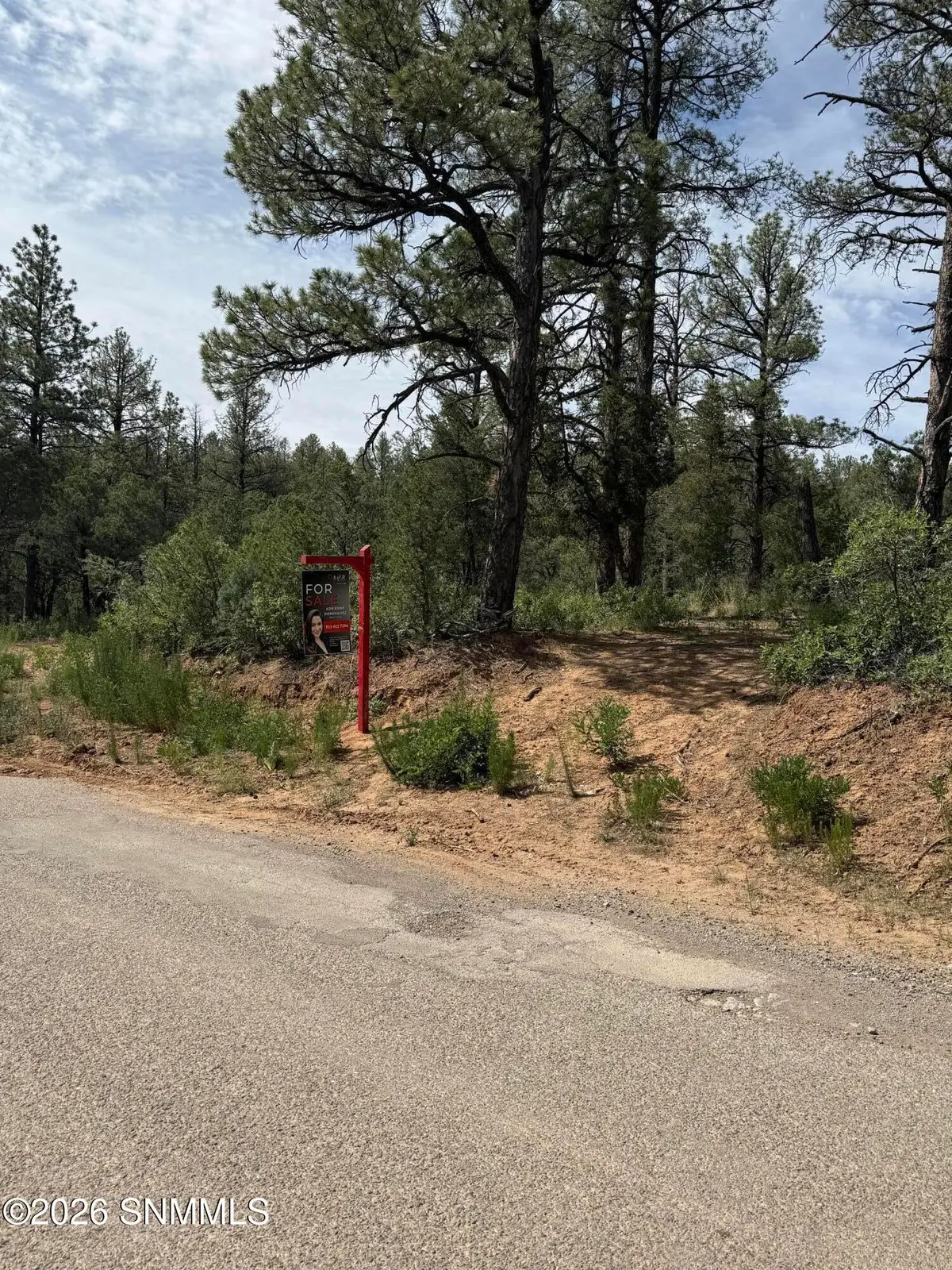 3 Sacramento, Timberon, NM 88350 - #1