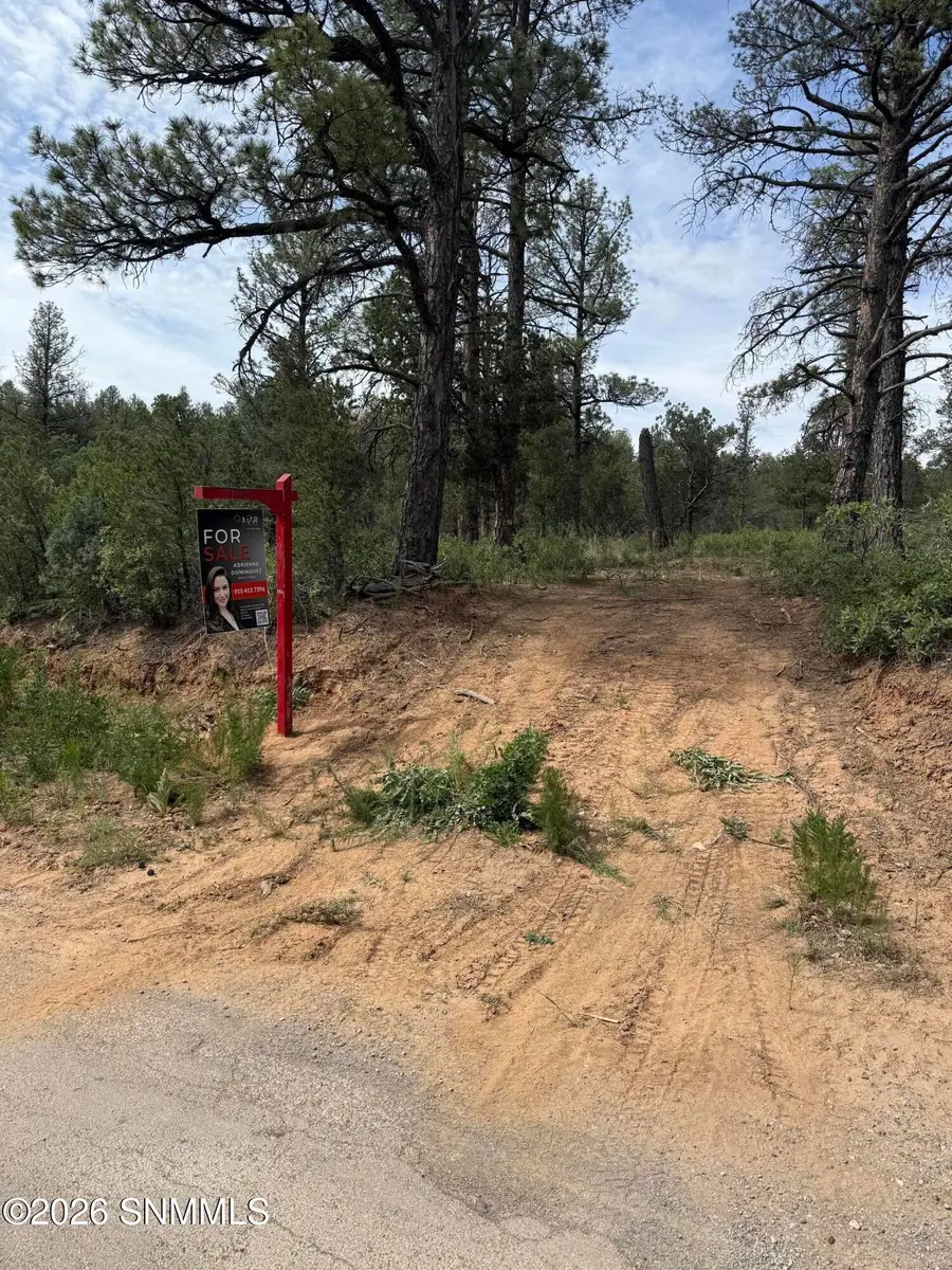 3 Sacramento, Timberon, NM 88350 - #2
