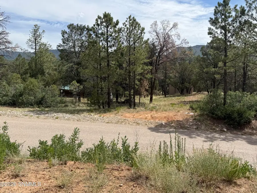3 Sacramento, Timberon, NM 88350 - #3