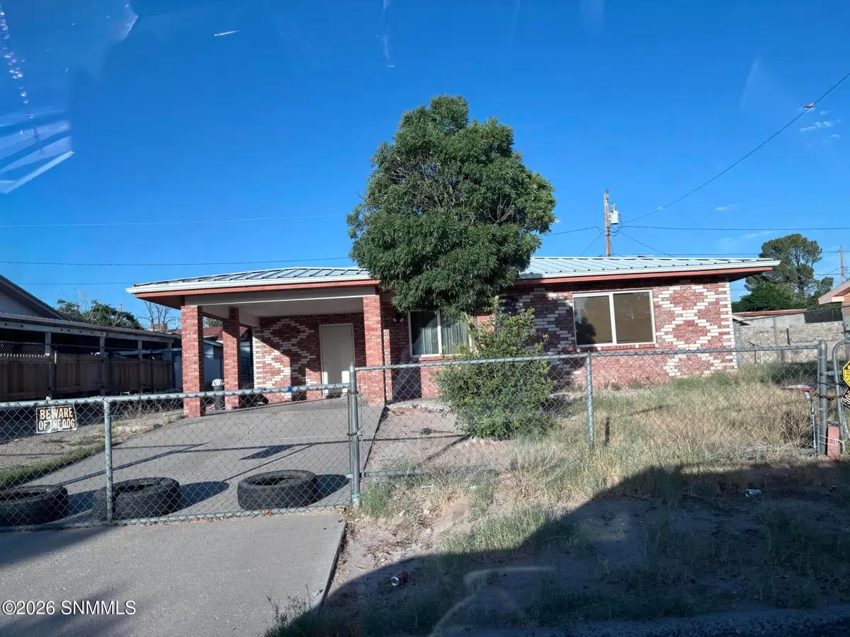 1606 Lou Andes Road, Anthony, NM 88021 - #1