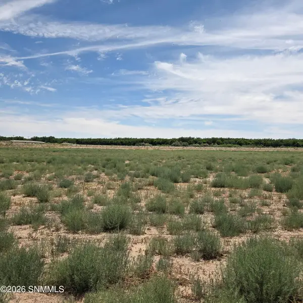 6525 Valle Del Rio Drive #2C, La Mesa, NM 88044