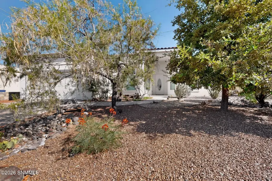 2933 E Springs Road, Las Cruces, NM 88011 - #3