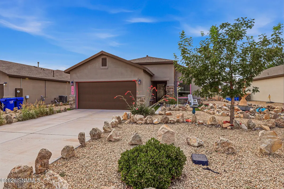 1563 Santa Thomas Street, Las Cruces, NM 88007 - #1