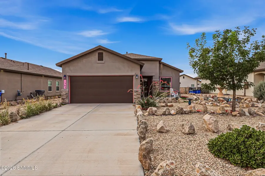1563 Santa Thomas Street, Las Cruces, NM 88007 - #2