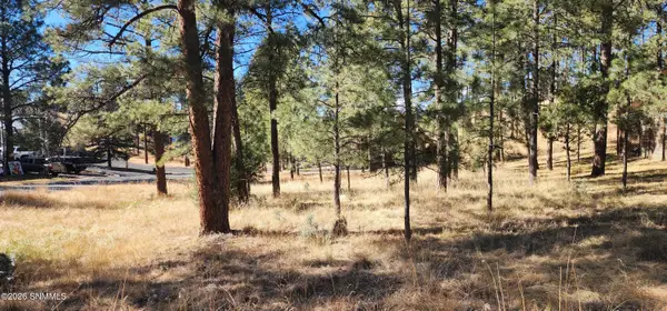 604 White Mountain Meadows Drive, Ruidoso, NM 88345