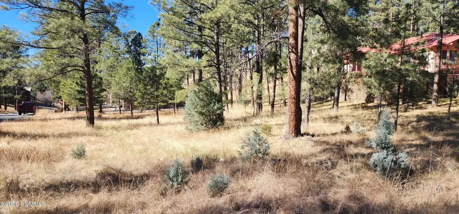 604 White Mountain Meadows Drive, Ruidoso, NM 88345 - #2