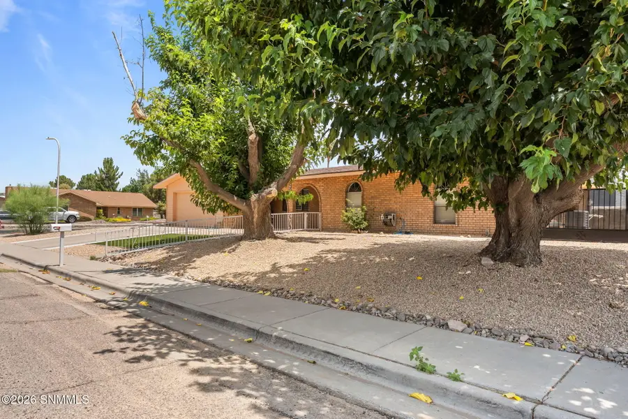 2716 Johnson Street, Las Cruces, NM 88005 - #3