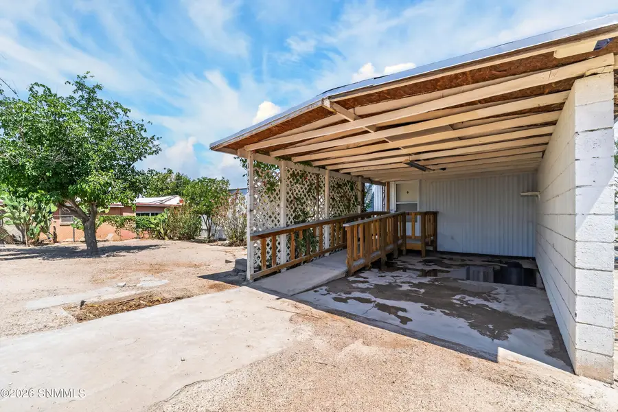 1125 Livesay Street, Anthony, NM 88021 - #3