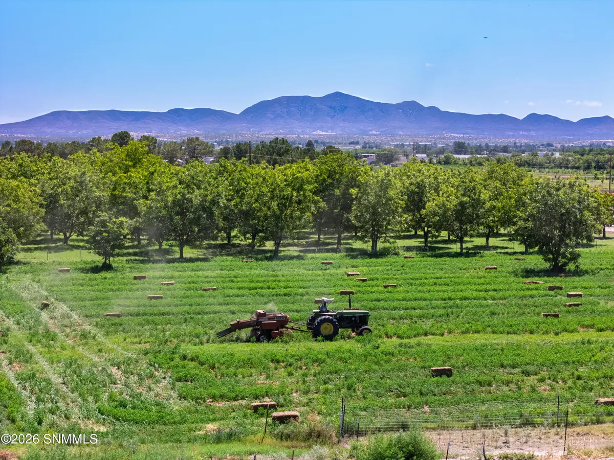 2905 Burkett Place, Anthony, NM 88021 - #1