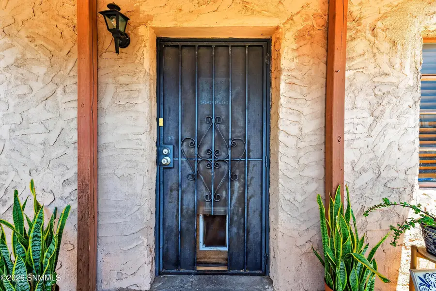 838 N Manzanita Street, Las Cruces, NM 88001 - #3