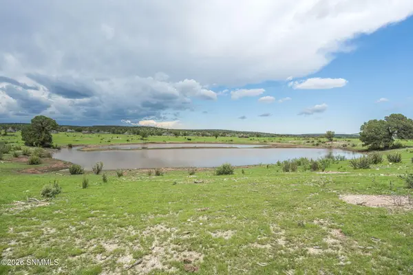 1604 Nm Highway 24, Weed, NM 88354