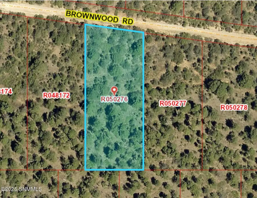 64 Brownwood Road, Timberon, NM 88350 - #2