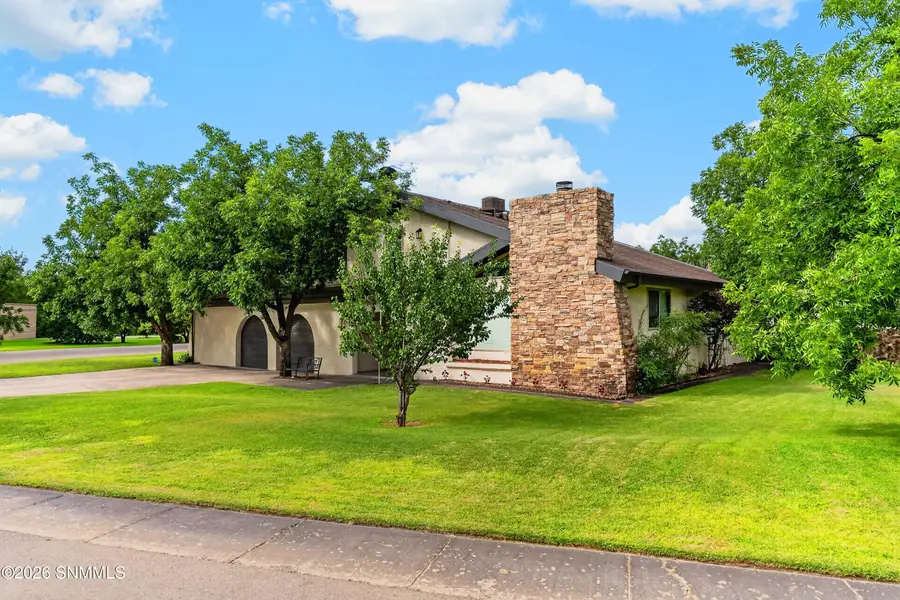 3020 Mimosa Lane, Las Cruces, NM 88001 - #2