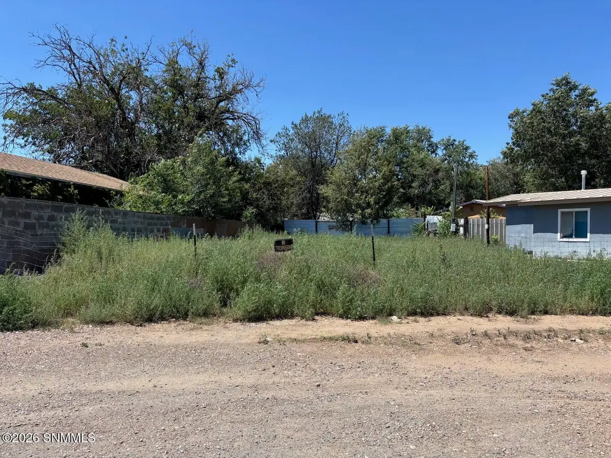 1005 N Grant Street, Silver City, NM 88061 - #1