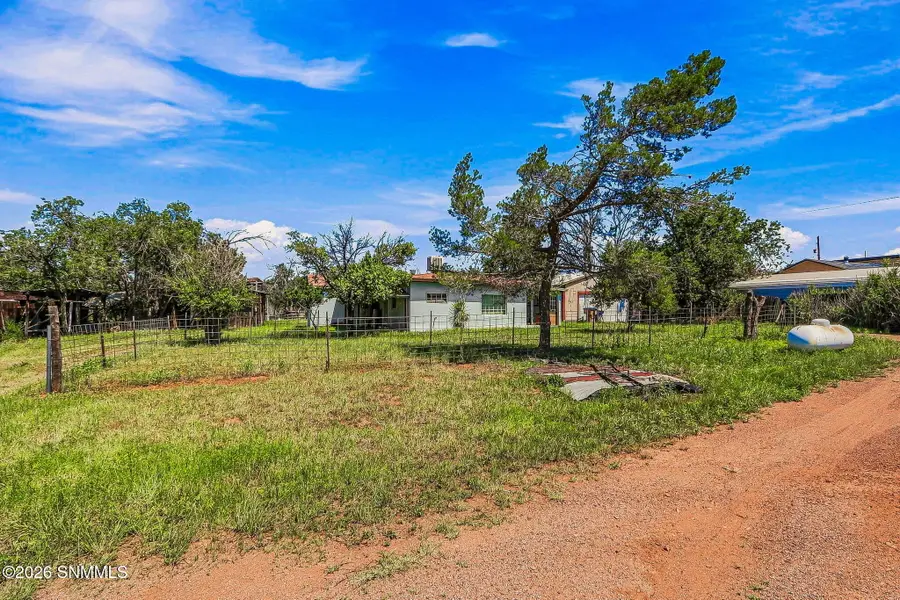 133 Arenas Valley Road, Arenas Valley, NM 88022 - #3