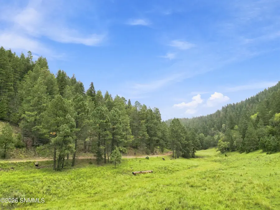 TBD Wills Canyon Road, Cloudcroft, NM 88317 - #3