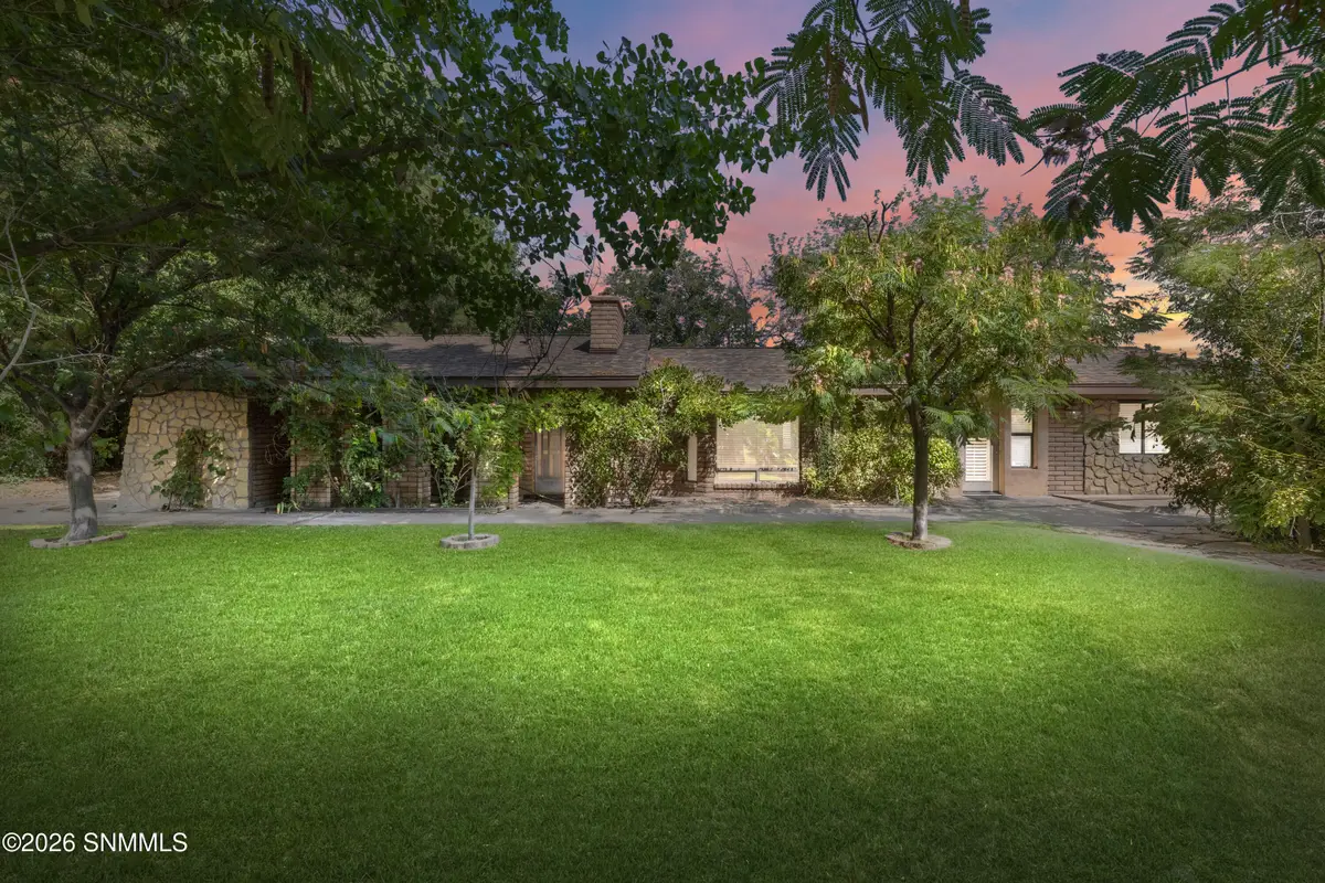 3193 Avenida De Mesilla, Mesilla, NM 88046 - #1