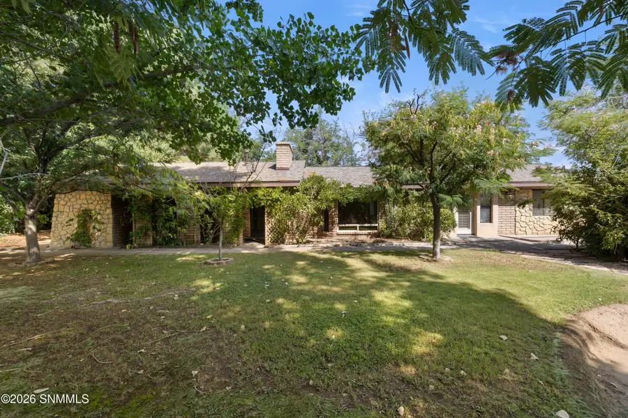 3193 Avenida De Mesilla, Mesilla, NM 88046 - #3