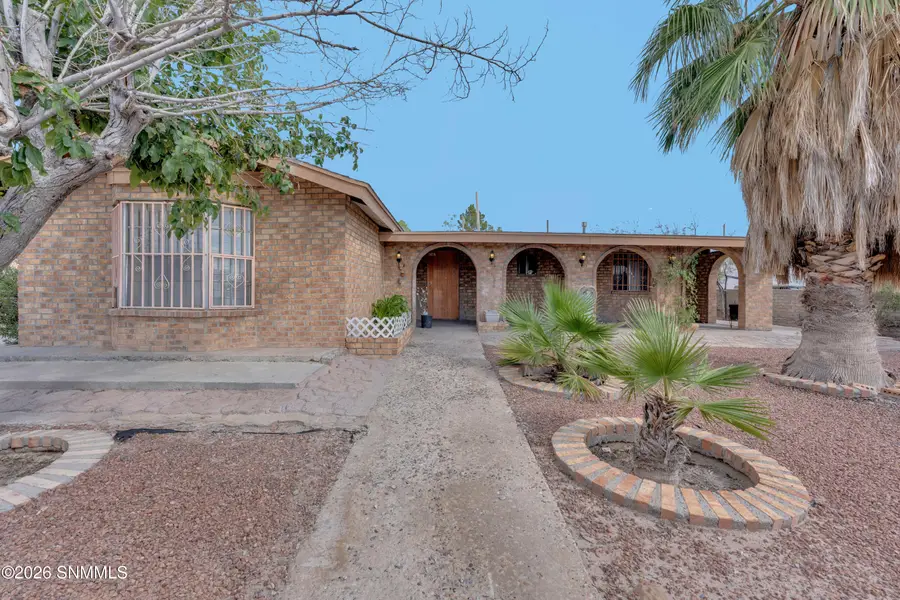 970 San Andres Drive, Anthony, NM 88021 - #3