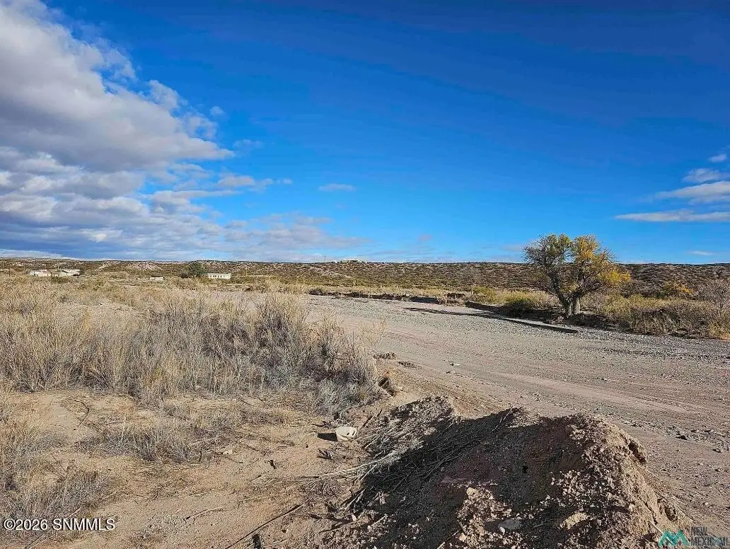 TBD Las Palomas Cyn Road, Williamsburg, NM 87942 - #1