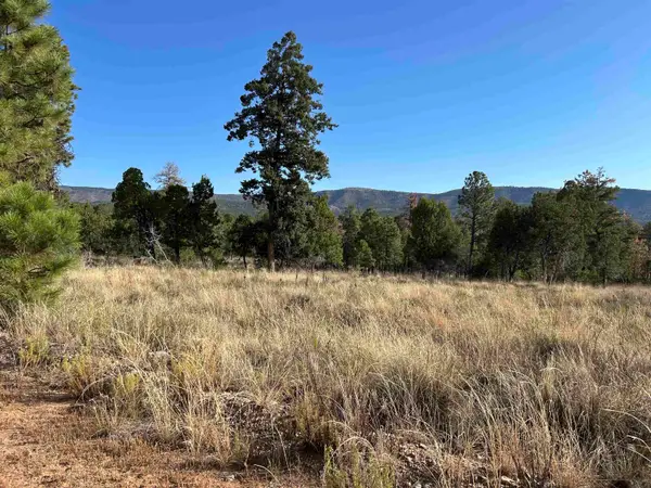 Coshacion Dr, Timberon, NM 88350