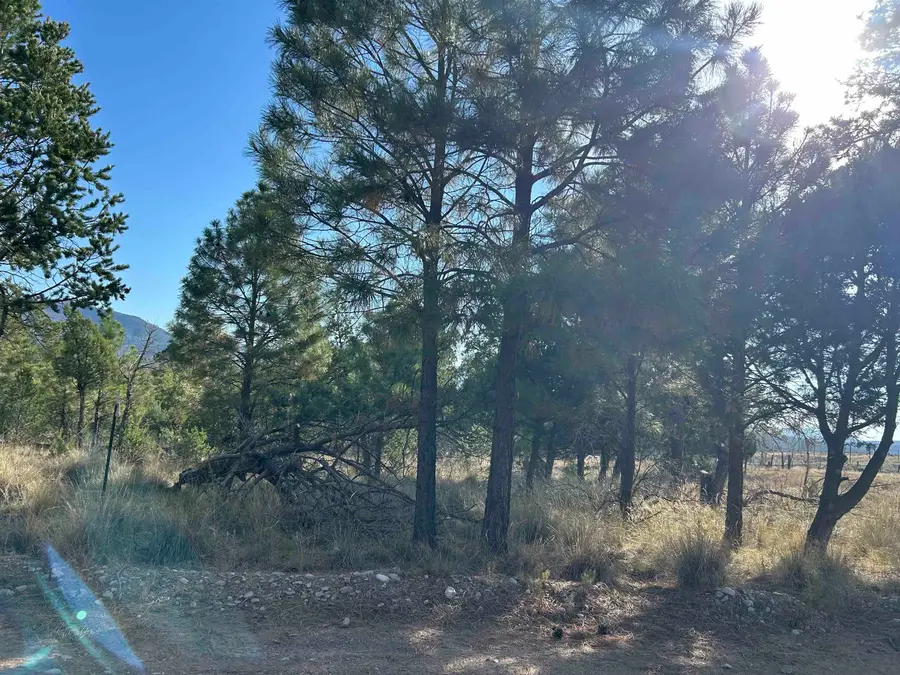 Coshacion Dr, Timberon, NM 88350 - #3