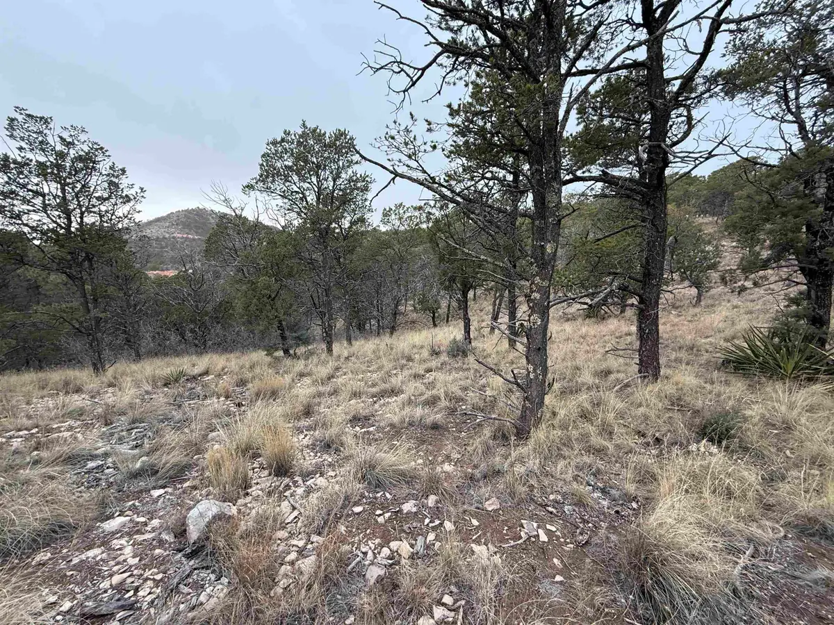 22 Harvest Rd, Timberon, NM 88350 - Image #1