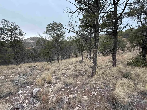 22 Harvest Rd, Timberon, NM 88350