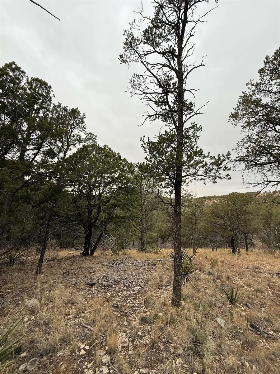 22 Harvest Rd, Timberon, NM 88350 - Image #3