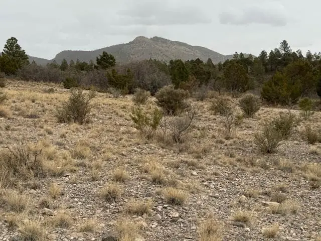 #2