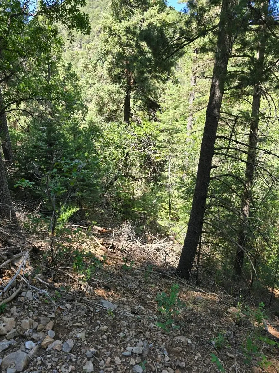 Piney Woods Rd, High Rolls Mountain Park, NM 88325 - Image #2