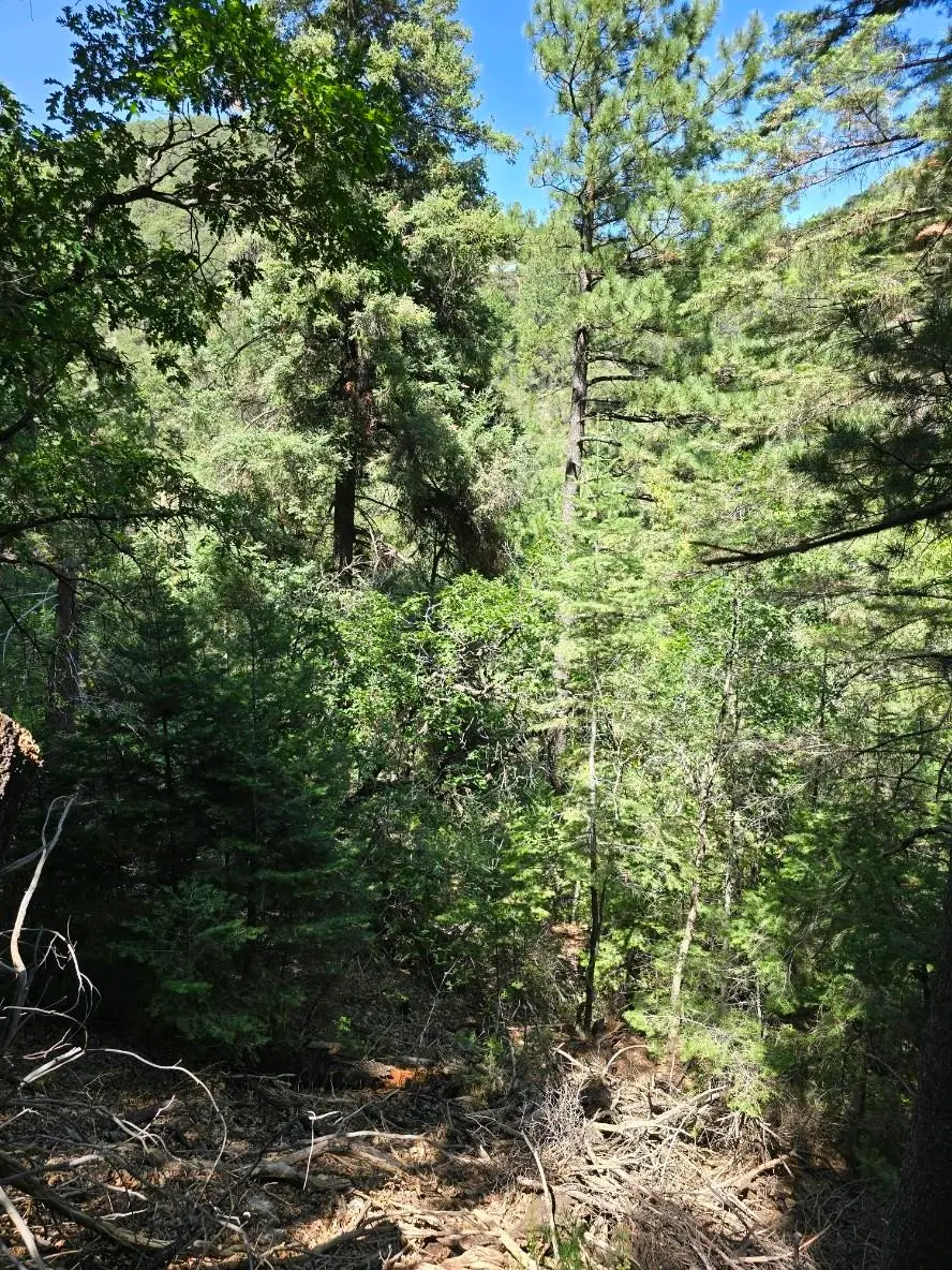 Piney Woods Rd, High Rolls Mountain Park, NM 88325 - Image #3