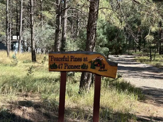 47 Pioneer Dr, Timberon, NM 88350 - Image #2